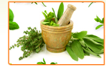 Best Places to Find Herbs for Menopause