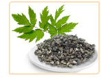 Black Cohosh Extract