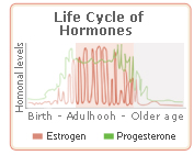 black cohosh cycle