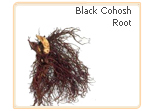 black cohosh properties 