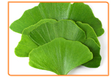 Feeling Low on Energy During Your Menopause?  Ginkgo Biloba's Here to Help