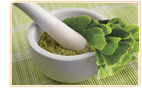 ginkgo herbal uses