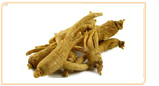 ginseng-american