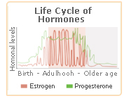 Ginseng and Menopause