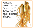 ginseng etymology