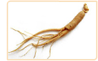 ginseng phytoestrogenic