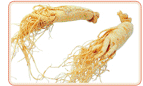 Wild Ginseng