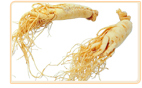 Ginseng