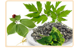 Herbs And Natural Supplements