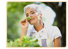 Healing Herbs For Menopause