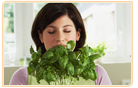 Herbs For Menopause relieves