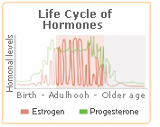 macafem progesterone