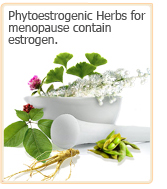 menopause herbs