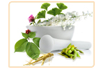 phytoestrogen herbs