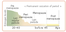 postmenopause