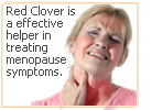 red clover menopause