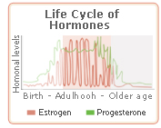soy hormones