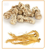 Dong quai raises estrogen levels and red ginseng stimulates the body.