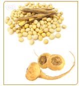 Soy is good to treat osteoporosis and macafem nourishes and stimulates the endocrine system.