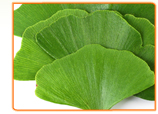 Delicious Foods you didn't know Contained Ginkgo Biloba
