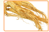 4 Benefits of Ginseng