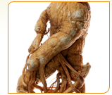 Ginseng has been used like medicine for three thousand years