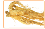 Ginseng and Memory Loss: What It Does and How