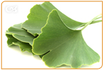 Ginko biloba is an herbal remedy to improve your blood flow