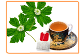 Herbal Remedies to Combat My Menopause Symptoms