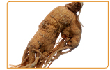 What is Ginseng?