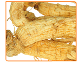 Top Producers of Ginseng