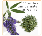 vitex-garnish