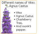 vitex-names