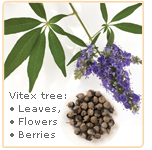 vitex-parts