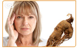 Ginseng contains ginsenosides which improve your memory performance